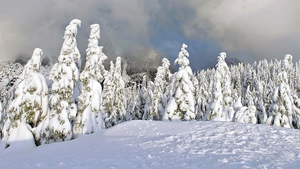 hd-winter-achtergrond-met-winter-in-de-bergen-met-bomen-bedekt-me