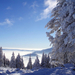 hd-winter-bureaublad-achtergrond-met-bomen-bergen-en-sneeuw