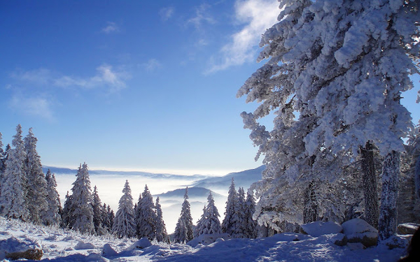 hd-winter-bureaublad-achtergrond-met-bomen-bergen-en-sneeuw