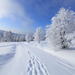 winter-landschap-met-een-laag-sneeuw