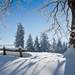 winterlandschap-met-een-pak-sneeuw-hd-winter-achtergrond