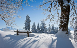 winterlandschap-met-een-pak-sneeuw-hd-winter-achtergrond