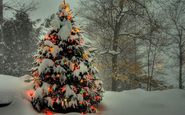 hd-kerst-achtergrond-met-een-kerstboom-buiten-in-de-sneeuw-met-ke