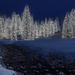 hd-kerst-wallpaper-met-brandende-kerstbomen-in-de-sneeuw-winter-a