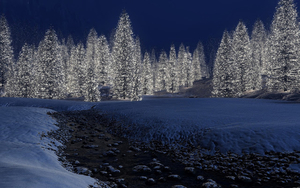 hd-kerst-wallpaper-met-brandende-kerstbomen-in-de-sneeuw-winter-a
