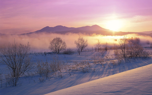 hd-mooie-winterlandschap-achtergrond-met-bomen-en-besneeuwde-heuv
