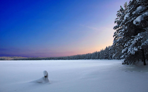 hd-winter-achtergrond-aan-de-rand-van-een-bos-in-finland-hd-sneeu
