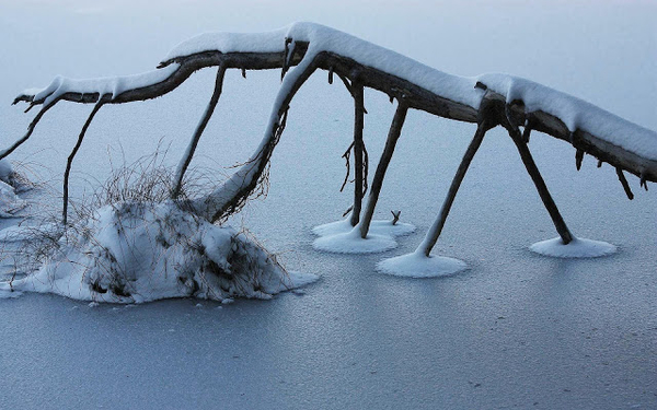 hd-winter-achtergrond-met-een-tak-in-een-bevroren-meer-hd-winter-