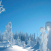 winter-wallpaper-met-bomen-met-heel-veel-sneeuw
