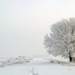 hd-bureaublad-achtergrond-van-een-winterlandschap-met-veel-sneeuw