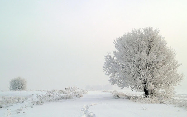 hd-bureaublad-achtergrond-van-een-winterlandschap-met-veel-sneeuw