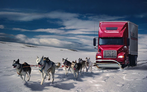 hd-grappige-achtergrond-met-sledehonden-die-een-rode-vrachtwagen-