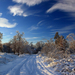 hd-winter-wallpaper-met-een-winterlandschap-met-een-besneeuwde-we