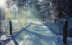 winter-achtergrond-met-een-besneeuwde-weg-met-bomen