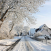 winter-achtergrond-met-huizen-en-bomen-langs-de-kant-van-de-weg