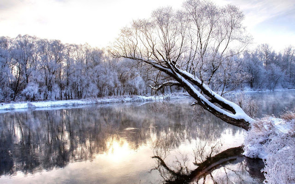 winter-achtergrond-van-een-bevroren-kanaal-met-veel-bomen-aan-de-