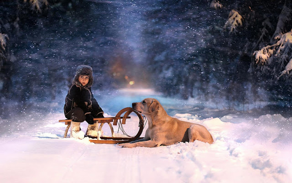 foto-van-een-jongen-met-zijn-hond-en-een-slee-in-de-sneeuw-hd-win