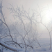 foto-van-een-landschap-met-sneeuw-en-mist-in-de-winter