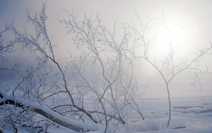 foto-van-een-landschap-met-sneeuw-en-mist-in-de-winter