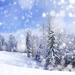 foto-van-een-witte-kerst-met-een-winterlandschap-met-sneeuw-en-bo