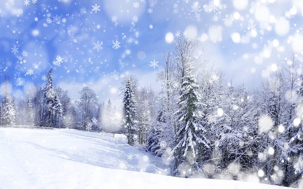 foto-van-een-witte-kerst-met-een-winterlandschap-met-sneeuw-en-bo