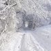 prachtige-winterlandschap-wallpaper-met-bomen-bedekt-met-sneeuw