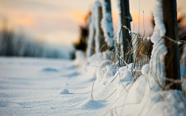 winter-achtergrond-met-een-hek-en-sneeuw-op-de-grond