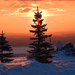 winter-achtergrond-met-veel-sneeuw-bomen-en-ondergaande-zon-aan-d