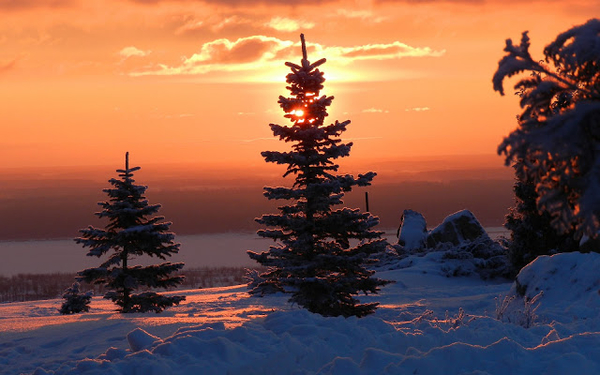 winter-achtergrond-met-veel-sneeuw-bomen-en-ondergaande-zon-aan-d