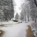 winter-landschap-met-een-riviertje-en-bomen-langs-de-kant-van-het