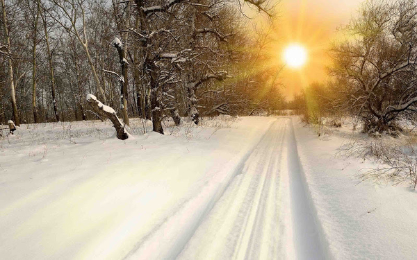 hd-winter-achtergrond-met-een-weg-bedekt-met-sneeuw-en-bomen-snee