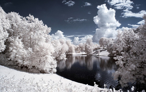 winter-wonderland-achtergrond-met-witte-bomen-om-een-meer