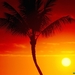 warmth-of-sun-maui-hawaii-1024x768