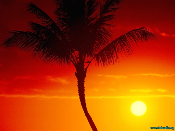 warmth-of-sun-maui-hawaii-1024x768