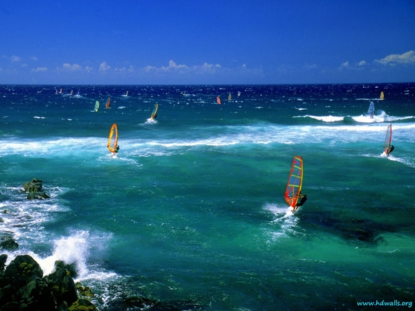 windsurfers-maui-2-1024x768