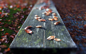herfstbladeren-op-een-houten-bankje-en-op-de-grond-hd-herfst-acht