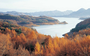 prachtig-uitzicht-op-een-meer-en-bomen-met-herfstbladeren