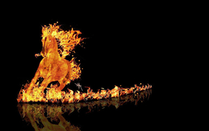 zwarte-fantasie-achtergrond-met-een-paard-van-vuur