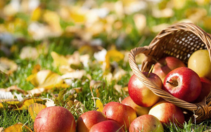 foto-van-appels-en-herfstbladeren-op-de-grond-hd-herfst-wallpaper
