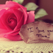 een-roos-en-een-briefje-met-de-tekst-i-love-you-mom-hd-rozen-wall