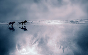foto-van-twee-dravende-paarden-op-het-strand
