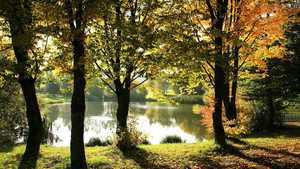 herfst-foto-met-bomen-en-water-en-een-mooi-uitzicht-hd-herfst-ach