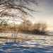 foto-van-een-winterlandschap-met-sneeuw-een-boom-en-mist-in-de-ve