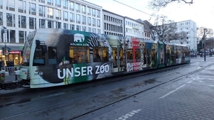 4063 - Kölner Zoo - 08.12.2017 Koln