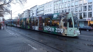 4063 - Kölner Zoo - 08.12.2017 Koln-2