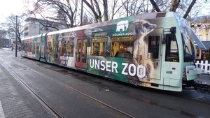 4063 - Kölner Zoo - 08.12.2017 Koln-3