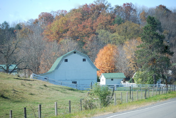 178676__barn-and-autumn-trees_p