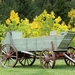 808786__old-cart_p