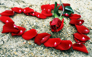 hd-liefde-achtergrond-met-rode-rozenblaadjes-in-de-vorm-van-een-h