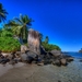 hd-wallpaper-with-palmtrees-and-rocks-on-desert-island